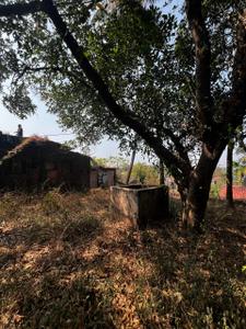 Image of 630 Sq.ft Residential Plot / Land for sale in Colvale, Goa for Rs. 22050000
