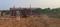 Patharagadia Main Image 1
