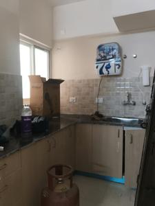 Kitchen Image of 805 Sq.ft 2 BHK Apartment / Flat for sale in Amrapali Dream Valley 2, Noida Extension Greater Noida for Rs. 6000000