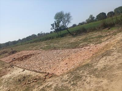 Image of 891 Sq.ft Residential Plot / Land for sale in Jhalwa, Allahabad for Rs. 500000