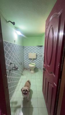 Image of 1150 Sq.ft 2 BHK Builder Floor for rent in New Krishna Nagar, Kurnool for Rs. 10500