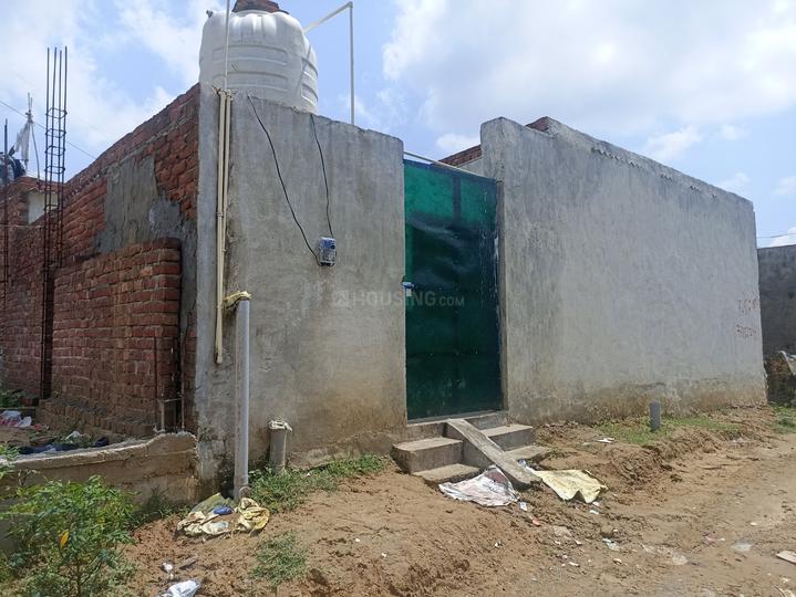 Royal green society Main Image 1