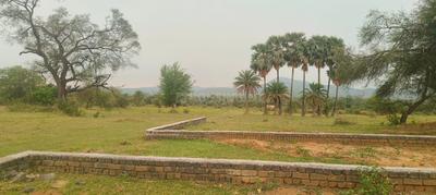 Dimna Plot View 3
