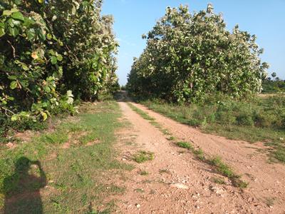 Image of 4800 Sq.ft Residential Plot / Land for sale in Periyanaickenpalayam, Coimbatore for Rs. 3450000