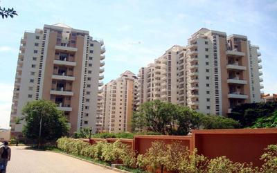 Image of 1750 Sq.ft 3 BHK Apartment / Flat for rent in Ajmera Green Acres, Kalena Agrahara, Bengaluru for Rs. 45000