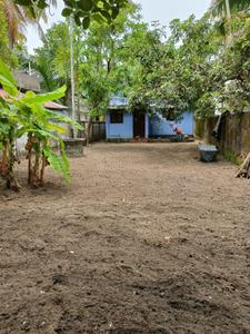 Image of 3920 Sq.ft 2 BHK Independent House for sale in Kaitharam South, Kochi for Rs. 5850000