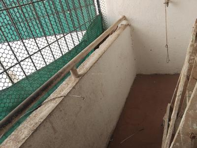 Balcony Image of 950 Sq.ft 2 BHK Apartment / Flat for rent in Siddhivinayak Shubhashree Residential, Akurdi Pune for Rs. 26000