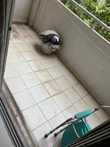 Balcony Image of 1050 Sq.ft 2 BHK Apartment / Flat for sale in Naiknavare Sylvan Heights H Building, Aundh Pune for Rs. 15000000