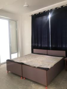 Image of Peacock in Sector 28, Gurgaon