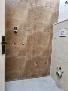 Common Bathroom Image of 600 Sq.ft 2 BHK Apartment / Flat for sale in Nawada New Delhi for Rs. 3850000