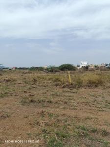Mudichur Plot View 3