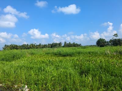 Image of 720 Sq.ft Residential Plot / Land for sale in Wander Valley, Joka, Kolkata for Rs. 318000
