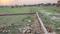 Parao Plot View 2