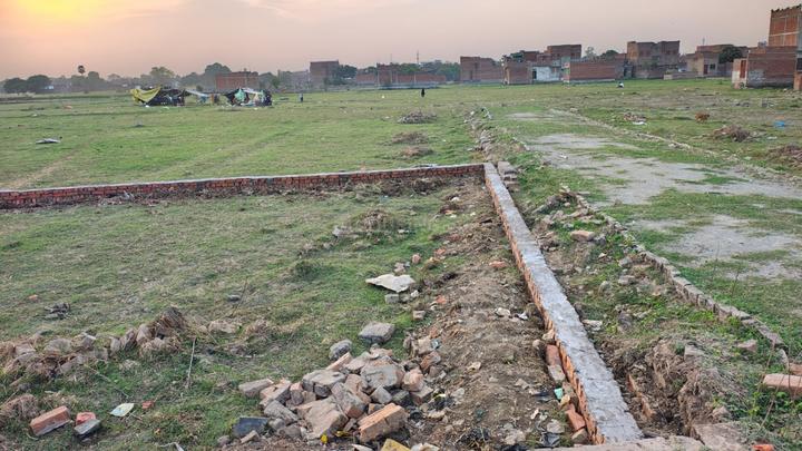 Parao Main Image 1