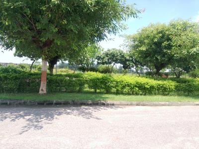 Image of 3300 Sq.ft Residential Plot / Land for sale in DLF Garden City, Mohanlalganj, Lucknow for Rs. 26400000