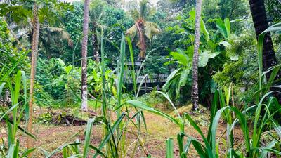 Image of 5880 Sq.ft Residential Plot / Land for sale in Viyyoor, Thrissur for Rs. 9585000