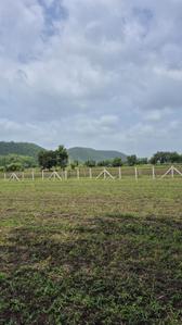 Image of 5000 Sq.ft Residential Plot / Land for sale in Simrol, Indore for Rs. 1500000