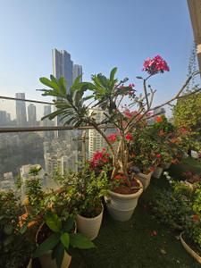 Image of 2400 Sq.ft 4 BHK Apartment / Flat for sale in Indiabulls Sky Forest, Parel, Mumbai for Rs. 145000000