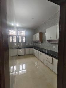 Kitchen Image of 2500 Sq.ft 3 BHK Builder Floor for rent in Sector 48 Noida for Rs. 38000