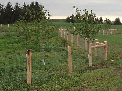 Image of 3638 Sq.ft Residential Plot / Land for sale in Karjat, Thane for Rs. 2906762