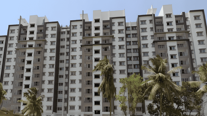 BSCPL Bollineni Silas Main Image 1