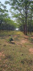 Image of 9000 Sq.ft Residential Plot / Land for sale in Kamsanpalle, Narayanpet for Rs. 7500000