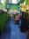 New Saram Kitchen 1