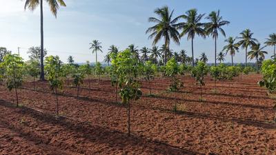 Image of 5500 Sq.ft Residential Plot / Land for sale in Doddaballapura, Bengaluru for Rs. 2700000