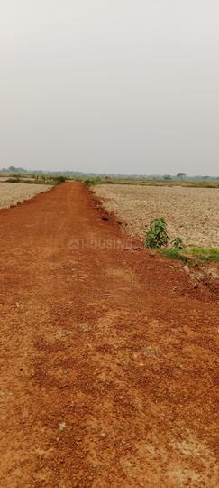 Bhagawanpur Main Image 1