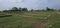 Safdarganj Main Image 1