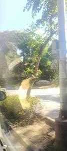 Image of 250 Sq.ft Residential Plot / Land for sale in Central Park Flower Valley 3, Sector 32, Sohna for Rs. 57500000