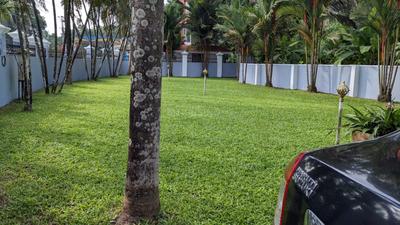 Image of 4450 Sq.ft 4 BHK Villa for sale in Kalady, Kochi for Rs. 90000000