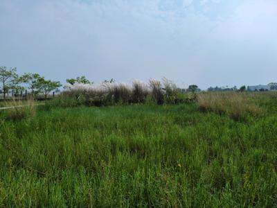 Residential Plot