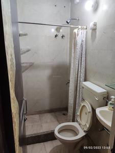 Bathroom Image of 750 Sq.ft 2 BHK Apartment / Flat for rent in Sector 6 Rohini New Delhi for Rs. 20000
