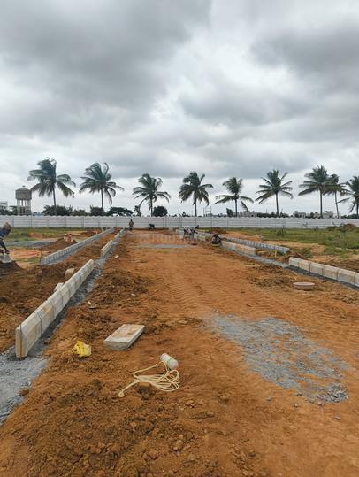 Falcon projects Main Image 1