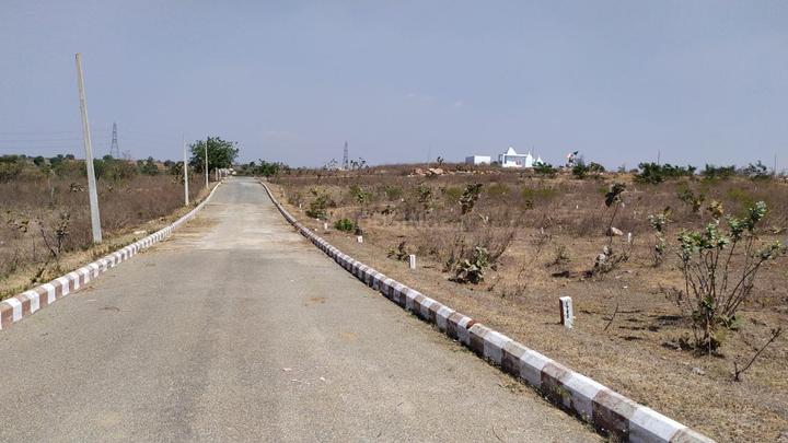 Building True Greens Main Image 1