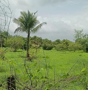 Image of 32670 Sq.ft Residential Plot / Land for sale in Murbad, Thane for Rs. 3840000