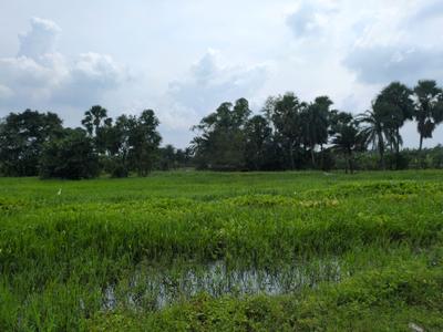 Image of 2880 Sq.ft Residential Plot / Land for sale in Joka, Kolkata for Rs. 600003