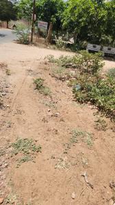 Image of 198 Sq.ft Residential Plot / Land for sale in Sargasan, Gandhinagar for Rs. 24156000