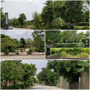 Image of 5400 Sq.ft 4 BHK Villa for sale in Gala Villa Aqua, Shantipura, Ahmedabad for Rs. 52500000