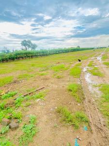 Image of 135 Sq.ft Residential Plot / Land for sale in Garden 28 Pataudi, Pataudi, Gurgaon for Rs. 13000000