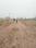 Braj Vatika Vrindavan Plot View 2