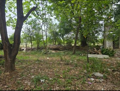 Image of 14000 Sq.ft 10 BHK Independent House for sale in Raja Annamalai Puram, Chennai for Rs. 250000000