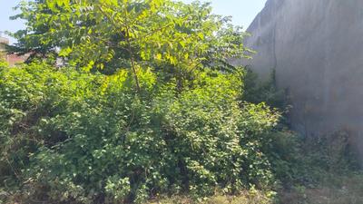 Image of 1375 Sq.ft Residential Plot / Land for sale in Jankipuram Extension, Lucknow for Rs. 4400000