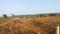 PRESTIGE FARMS Plot View 2