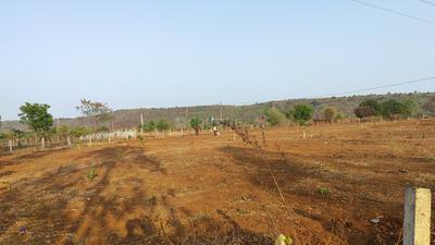 PRESTIGE FARMS Plot View 2