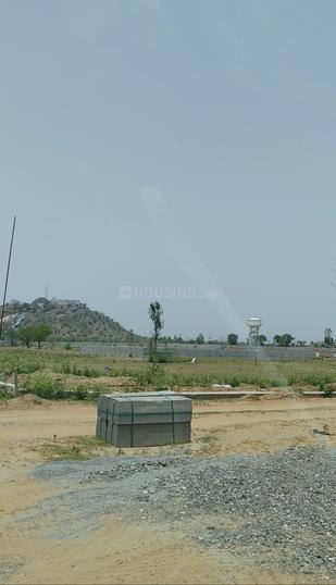 Chaksu Main Image 1