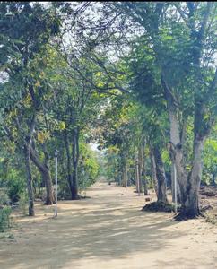 Image of 200 Sq.ft Residential Plot / Land for sale in Surampalli Auto Nagar, Vijayawada for Rs. 1799800