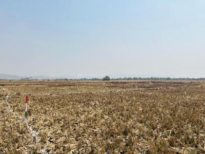 Image of 1089 Sq.ft Residential Plot / Land for sale in Shirdhon, Navi Mumbai for Rs. 1100000