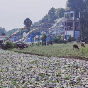 Image of 1485 Sq.ft Residential Plot / Land for sale in Prem Nagar, Dehradun for Rs. 3450000
